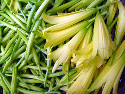 四种食物不宜新鲜吃黄花菜1.jpg